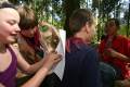 
FinnFoto_292928
